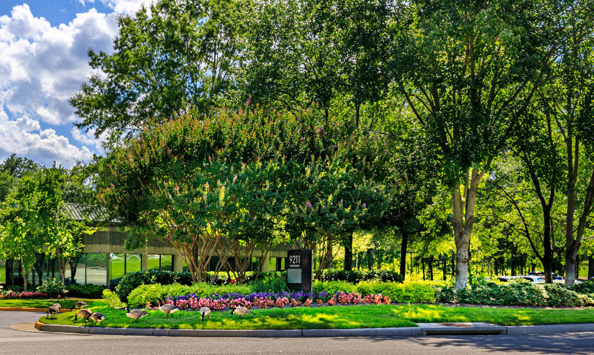 Arboretum - Ruppert Landscape